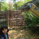 jurasic adventure park