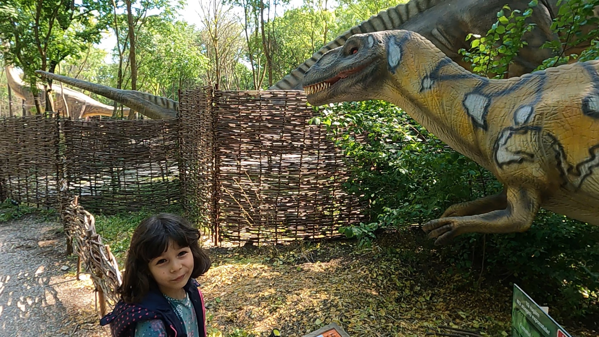 jurasic adventure park