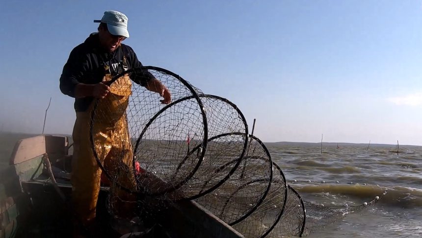 pescarii sunt obligați să vândă pește doar cerhanalelor