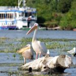 Tulcea: Întâlnire investitori în turism - autorități publice, la Prefectură
