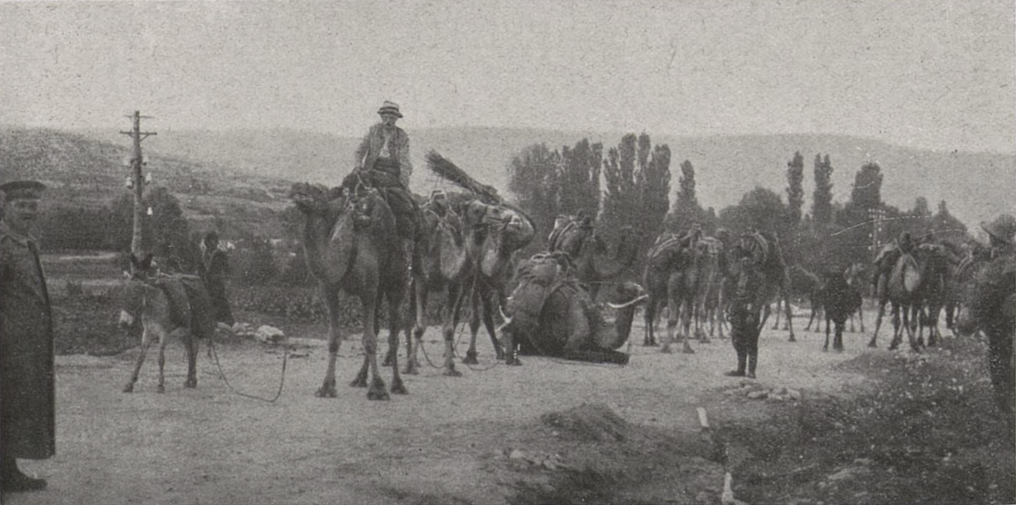 Caravană de cămile, 1916
