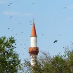 Minaretul geamiei din comuna Peștera, cu ciori zburând în jurul lui