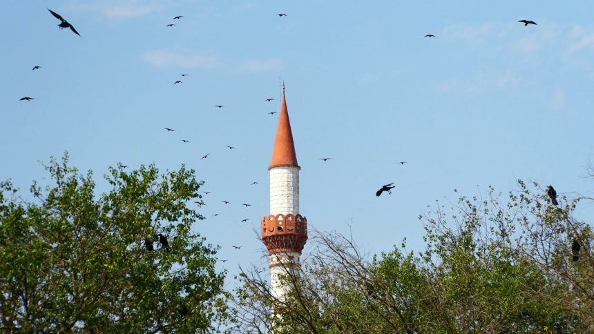 Minaretul geamiei din comuna Peștera, cu ciori zburând în jurul lui